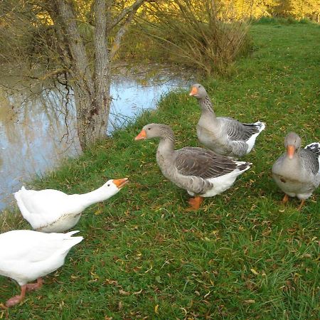 Domaine De Varenne Bed & Breakfast Saint-Amand-en-Puisaye Bagian luar foto