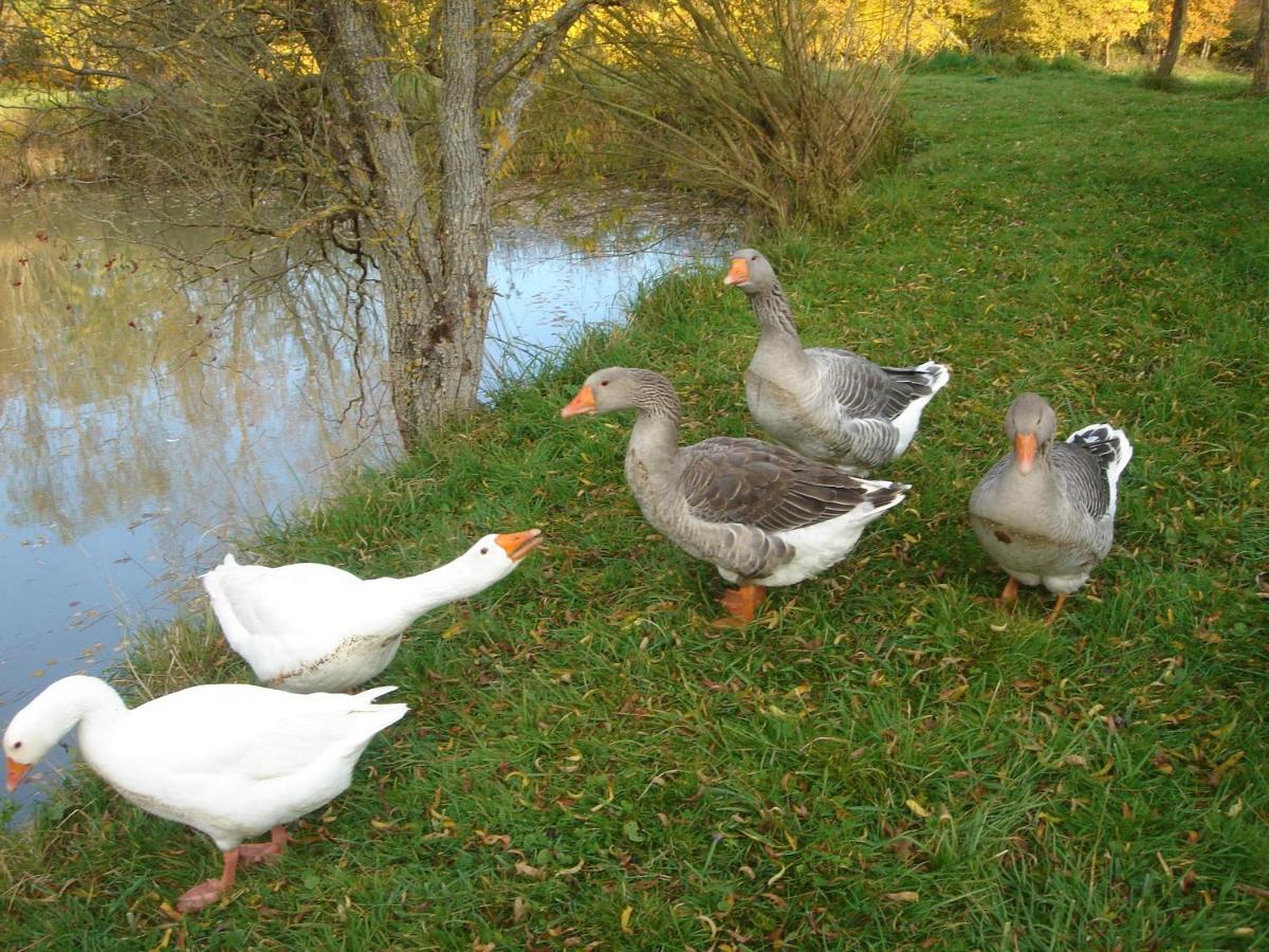 Domaine De Varenne Bed & Breakfast Saint-Amand-en-Puisaye Bagian luar foto