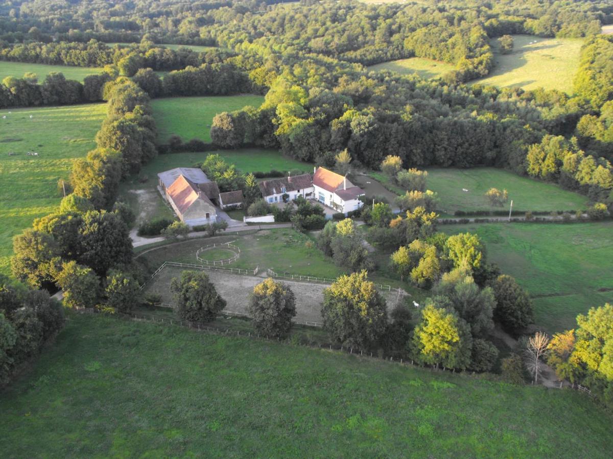Domaine De Varenne Bed & Breakfast Saint-Amand-en-Puisaye Bagian luar foto