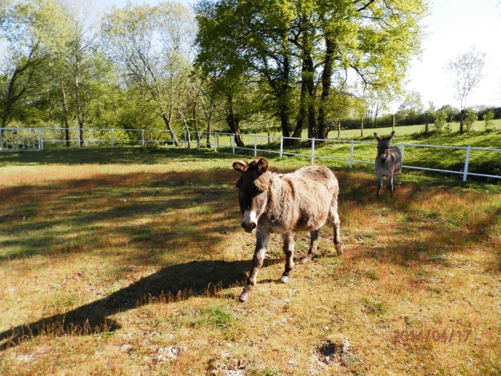 Domaine De Varenne Bed & Breakfast Saint-Amand-en-Puisaye Bagian luar foto