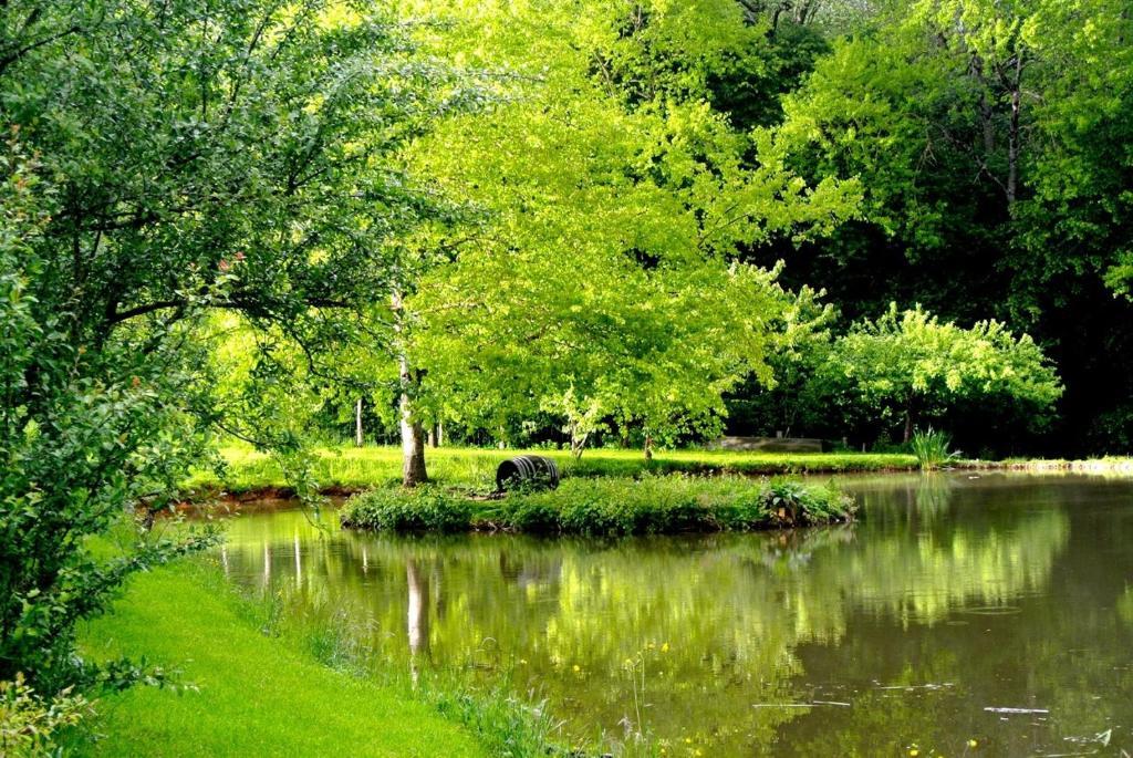Domaine De Varenne Bed & Breakfast Saint-Amand-en-Puisaye Bagian luar foto